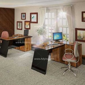 میز کارمندی , میز کارشناسی طبیعت