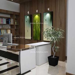 میز کارمندی , میز کارشناسی ویرا