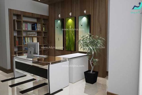 میز کارمندی , میز کارشناسی ویرا